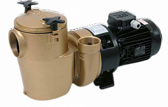 Насос P2000 Бронза Pahlen 112221-01